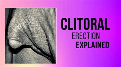 clitor erection